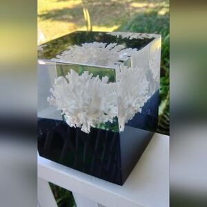 Vintage MCM Heavy Acrylic Cube With Genuine Coral